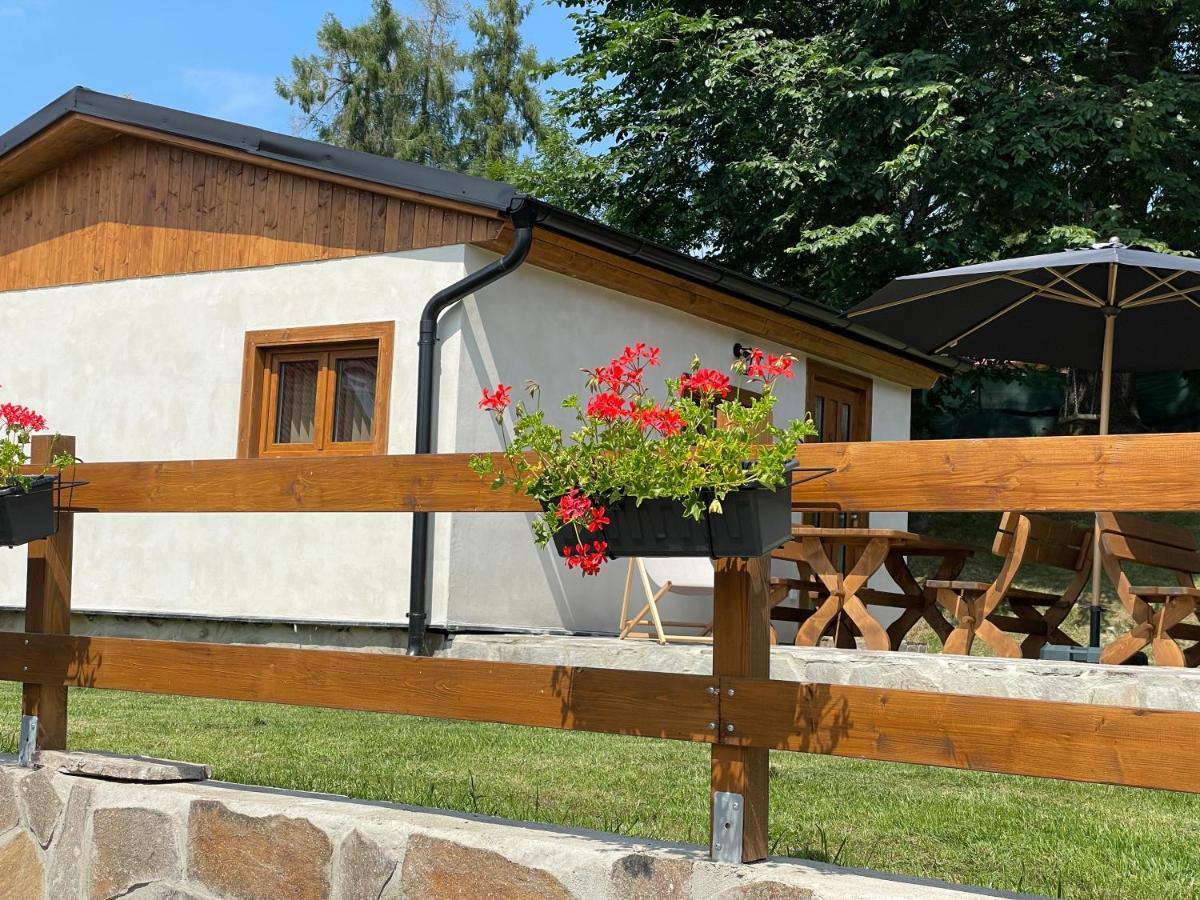 Apartment Eder- Penzion & Apartmany Horni Plana