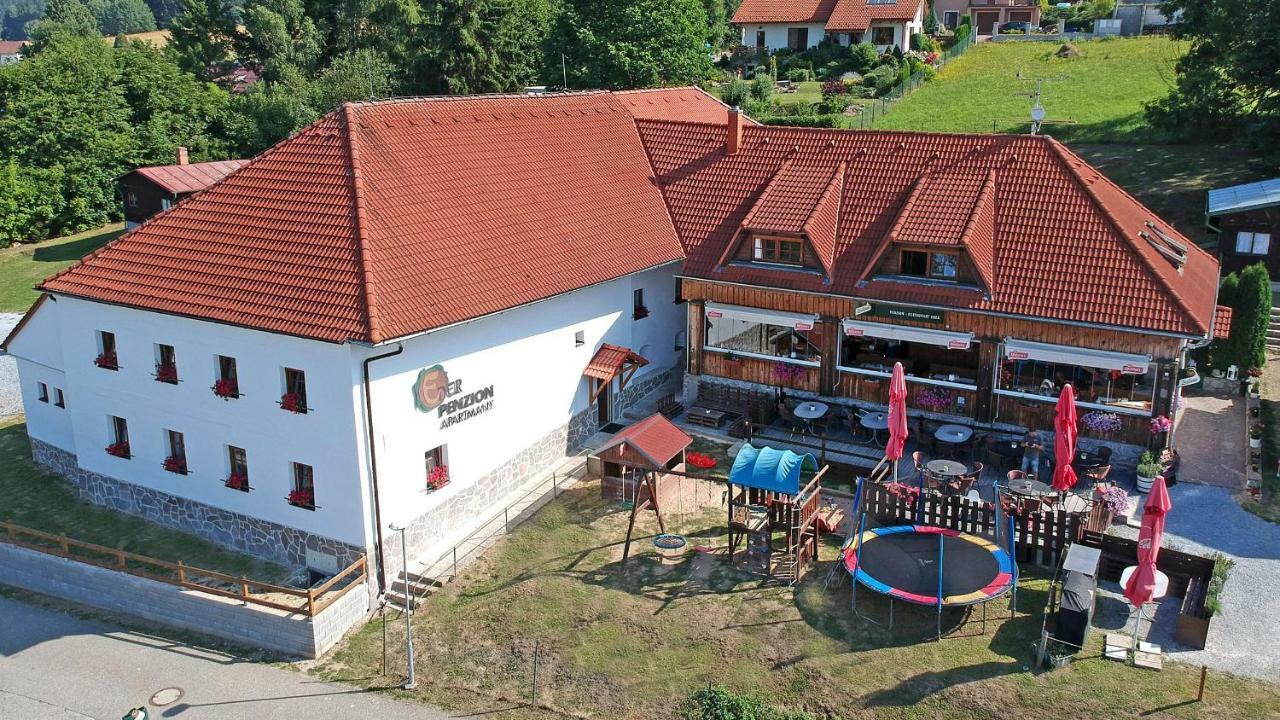 Eder- & Apartament Horní Planá